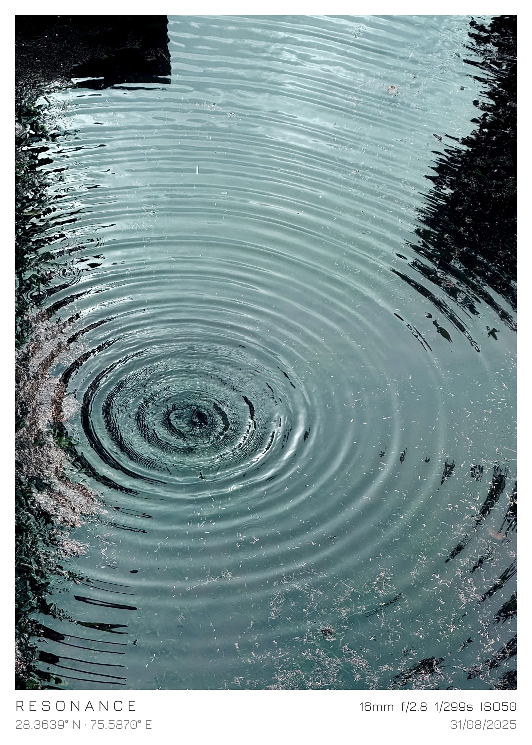 Concentric ripples across blue-green water