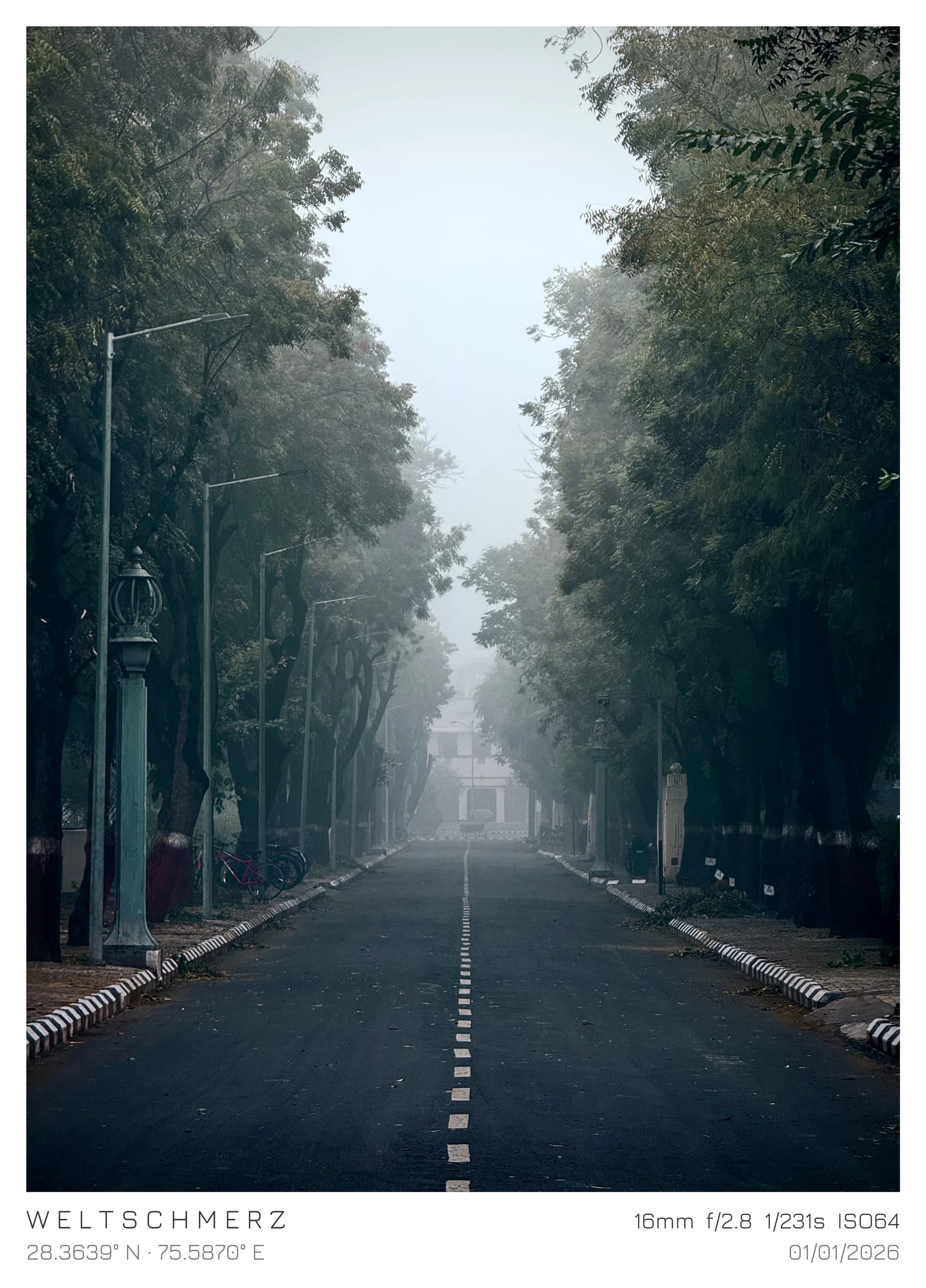 An empty road disappearing into morning mist